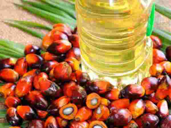 கவலைக்குரிய விஷயம்