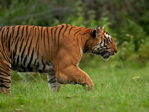 எப்படி கிடைத்தது