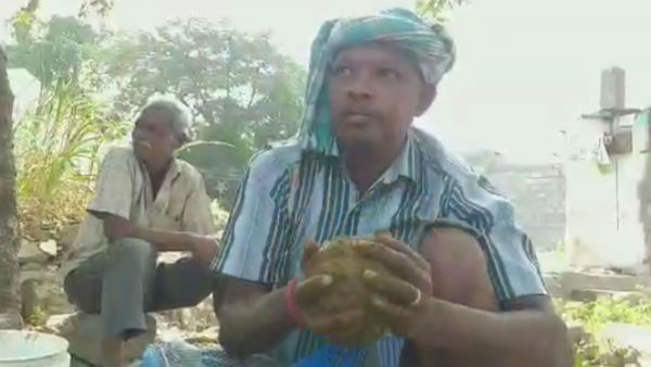 வெள்ளையடித்த வீடு