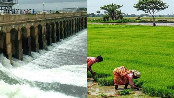 TN Cabinet Approves Cauvery Delta as protected agricultural zone TN Cabinet Approves Cauvery Delta as protected agricultural zone
