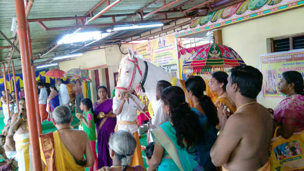 Ashwametha pooja at Sri Dhanvantri arokya peedam Ashwametha pooja at Sri Dhanvantri arokya peedam