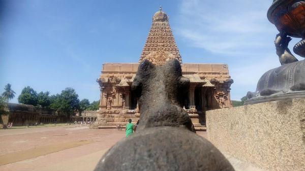 தோற்று ஓடிய நிலநடுக்கம்