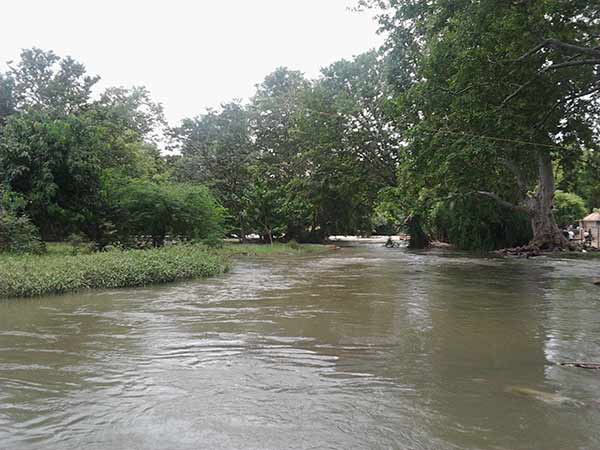 பாதுகாக்கப்பட்ட சிறப்பு வேளாண் மண்டலம்