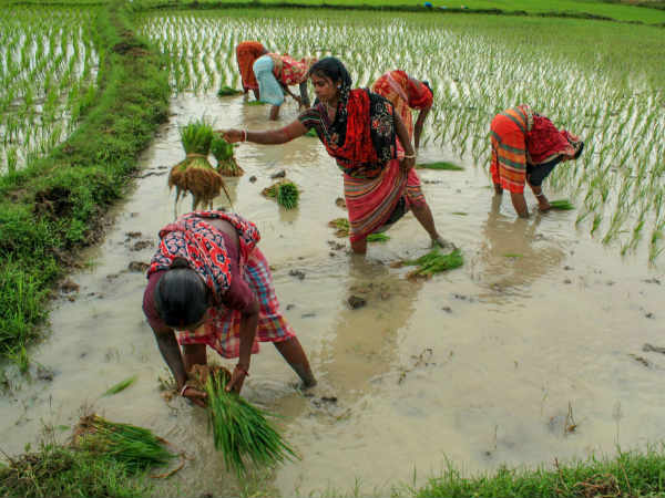 மானியம் என்ன