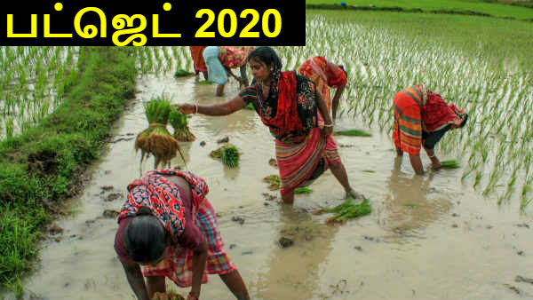 Nirmala Sitharaman announces 16 projects for Agriculture sector Nirmala Sitharaman announces 16 projects for Agriculture sector