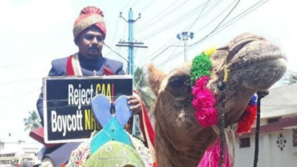 groom arrives for wedding on camel with a placard to protest against CAA in kerala groom arrives for wedding on camel with a placard to protest against CAA in kerala