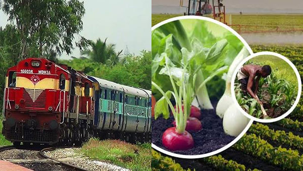 கிசான் எப்படி