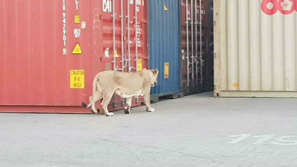 பதறிவிட்டனர்