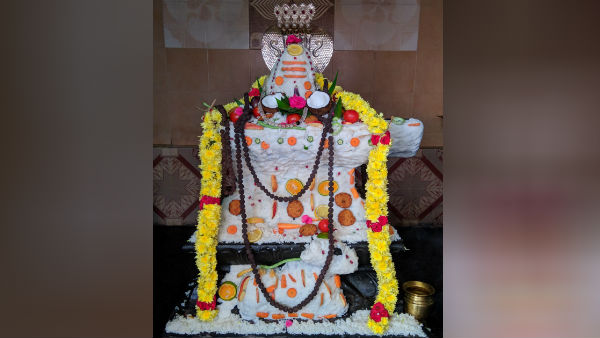 யானை பாம்பு சிலந்தி