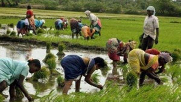 வேளாண் துறை
