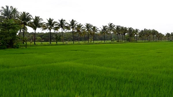 பாதுகாக்கப்பட்ட வேளாண் மண்டலம்