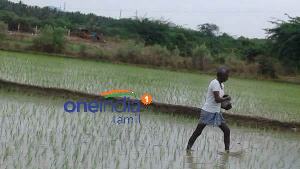 சட்டசபை தேர்தல் பிரசாரம்