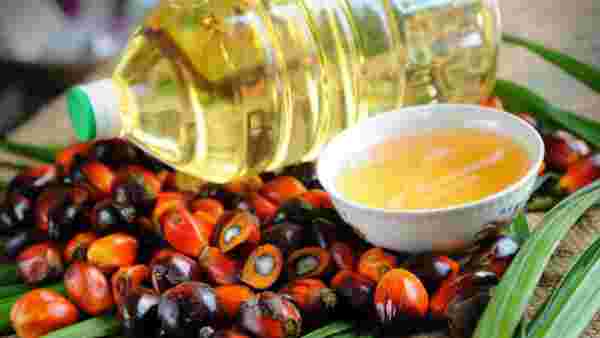 India Palm Oil Import Curbs Temporary: Malaysia India Palm Oil Import Curbs Temporary: Malaysia
