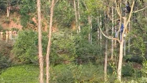 தப்பி ஓடியது