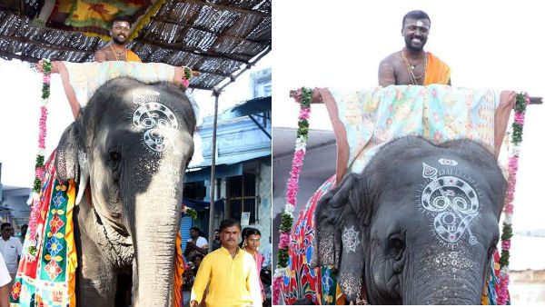 Tiruchendur Masi magam festival begins from Today Tiruchendur Masi magam festival begins from Today