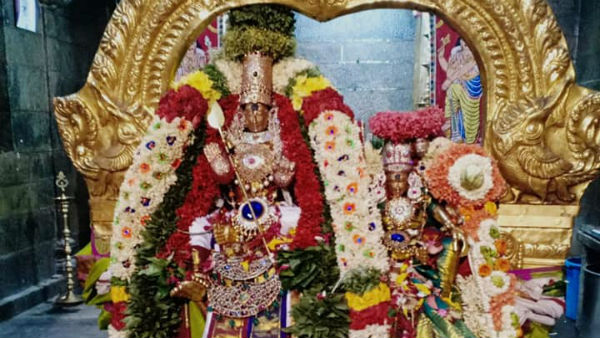 திருப்பரங்குன்றம் தேரோட்டம்