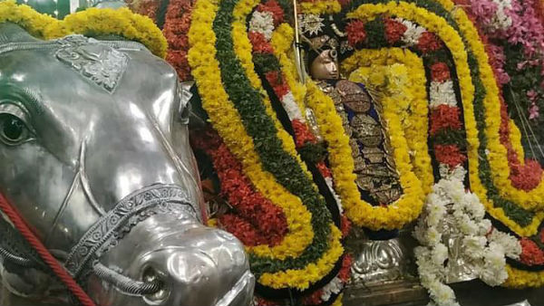 ThaiPusam 2020 Tiruvidaimaruthur bharmaorchavam Mahalingeswarar remove Brahmahathi Dosha ThaiPusam 2020 Tiruvidaimaruthur bharmaorchavam Mahalingeswarar remove Brahmahathi Dosha