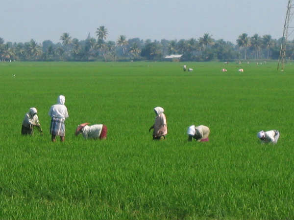 கடன் தள்ளுபடி