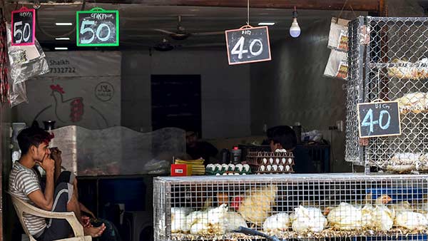 விழிப்புணர்வு