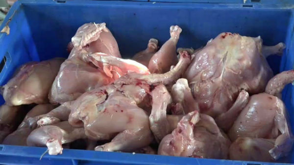 Chicken 65 free at meat shop in Puducherry to raise awareness of coronavirus Chicken 65 free at meat shop in Puducherry to raise awareness of coronavirus