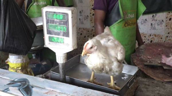 Chicken 65 free at meat shop in Puducherry to raise awareness of coronavirus Chicken 65 free at meat shop in Puducherry to raise awareness of coronavirus