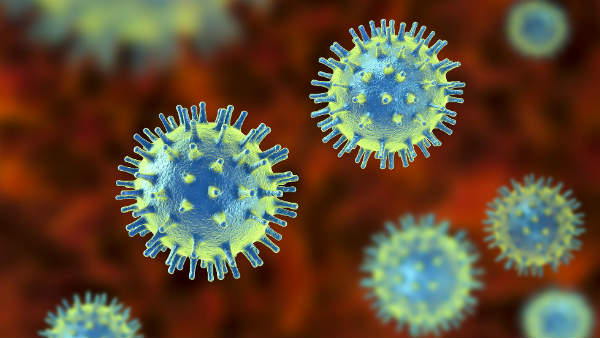 coronavirus: madurai local person attacked by coronavirus who did not travel any other districts coronavirus: madurai local person attacked by coronavirus who did not travel any other districts