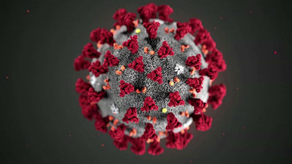 coronavirus: madurai local person attacked by coronavirus who did not travel any other districts coronavirus: madurai local person attacked by coronavirus who did not travel any other districts
