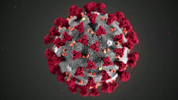 How Coronavirus defeats Immune system of Human body? How Coronavirus defeats Immune system of Human body?