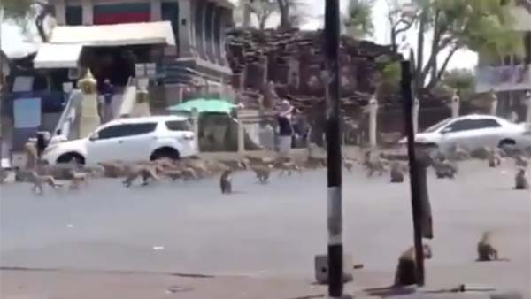 இரண்டு கேங்