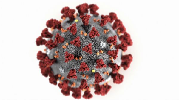 Coronavirus: Bengaluru IT professional who returned from US tests positive Coronavirus: Bengaluru IT professional who returned from US tests positive