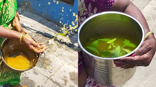 coronavirus: tied neem leaves in coimbatore buses to prevent coronavirus coronavirus: tied neem leaves in coimbatore buses to prevent coronavirus
