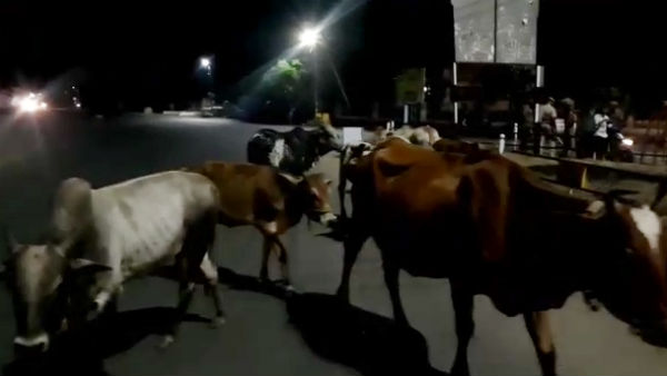 பொதுமக்கள்
