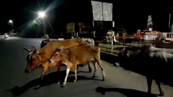 சுவாரசியம்