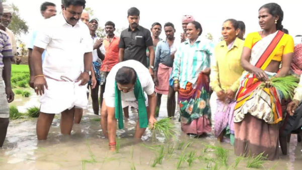 CM Edappadi Palanisamy plants a paddy sapling in a land CM Edappadi Palanisamy plants a paddy sapling in a land