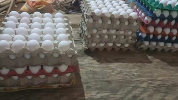 சிக்கன் சரிவு