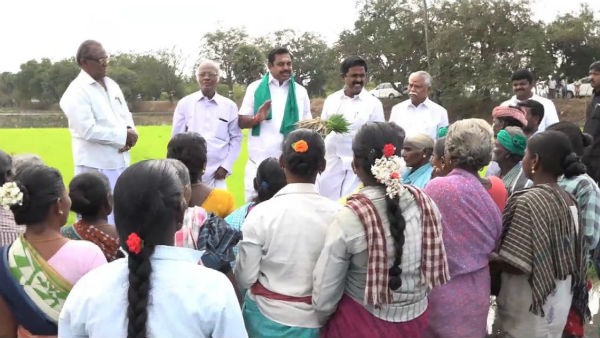 CM Edappadi Palanisamy plants a paddy sapling in a land CM Edappadi Palanisamy plants a paddy sapling in a land