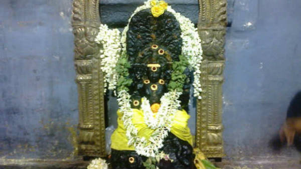 மீனம்