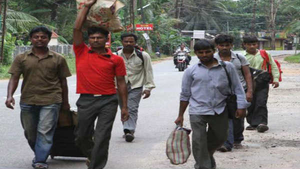 மர உச்சி