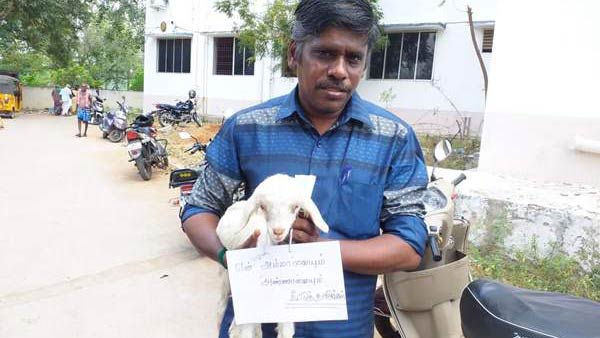 Lamb has petitioned the the trichy collector Lamb has petitioned the the trichy collector
