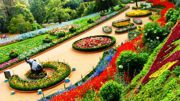 மெடிக்கல் டீம்