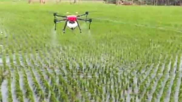 Pesticide Spraying in Agricultural Lands by Drone in Puducherry Pesticide Spraying in Agricultural Lands by Drone in Puducherry