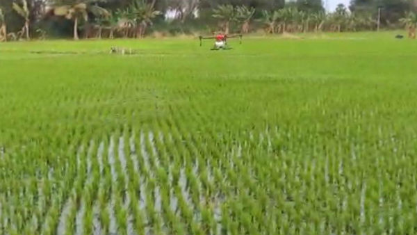 Pesticide Spraying in Agricultural Lands by Drone in Puducherry Pesticide Spraying in Agricultural Lands by Drone in Puducherry