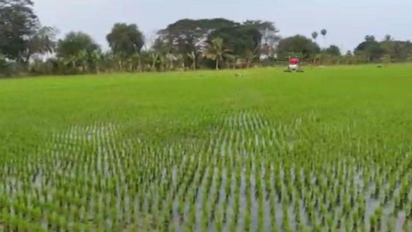 Pesticide Spraying in Agricultural Lands by Drone in Puducherry Pesticide Spraying in Agricultural Lands by Drone in Puducherry
