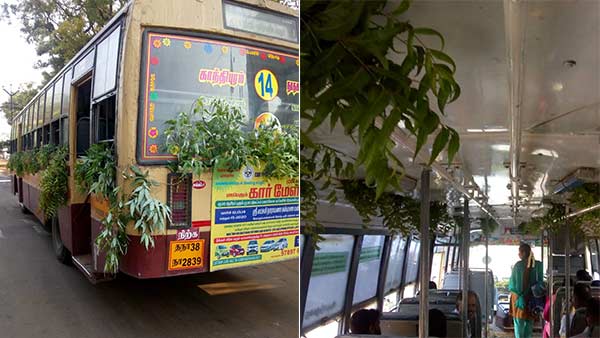 coronavirus: tied neem leaves in coimbatore buses to prevent coronavirus coronavirus: tied neem leaves in coimbatore buses to prevent coronavirus