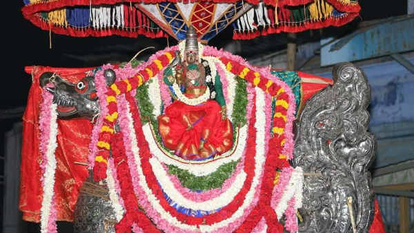மாசி மகம் தேரோட்டம்