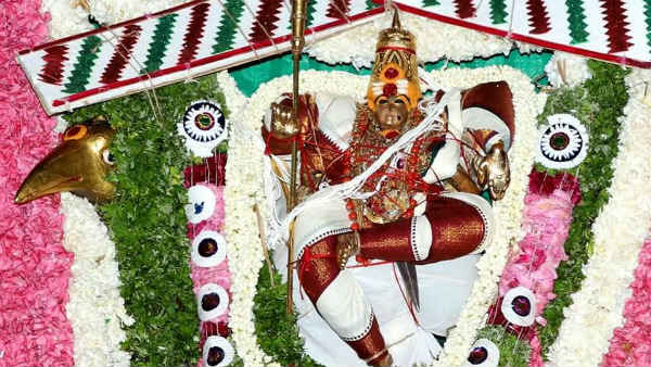 சிவப்பு மலர் அலங்காரம்