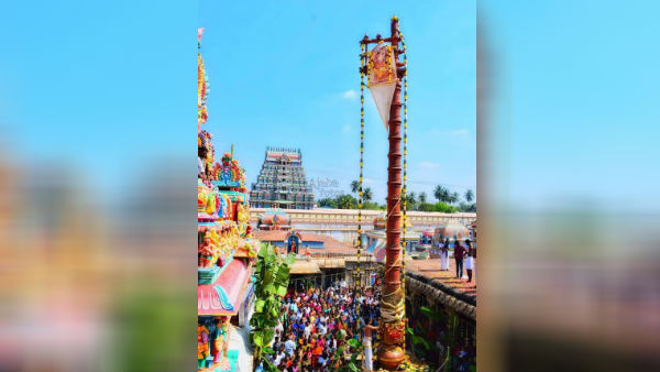 திருவாரூர் தியாகராஜர் கோவில்