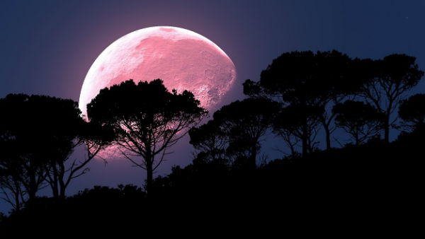 Super Pink Moon that appears in the sky Super Pink Moon that appears in the sky