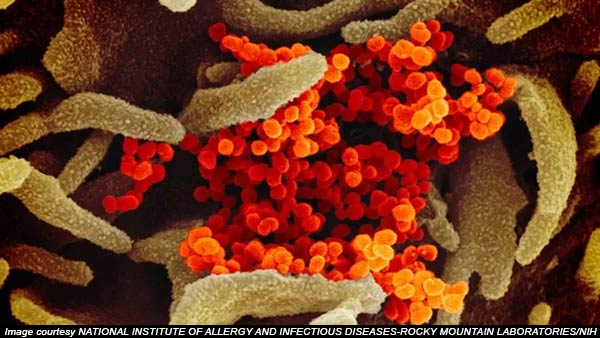 Coronavirus Coronavirus