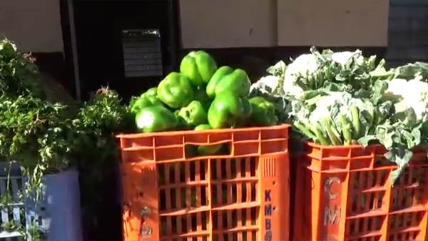 Balakrishna Reddy and AIADMK cadres distribute vegetables in Hosur Balakrishna Reddy and AIADMK cadres distribute vegetables in Hosur